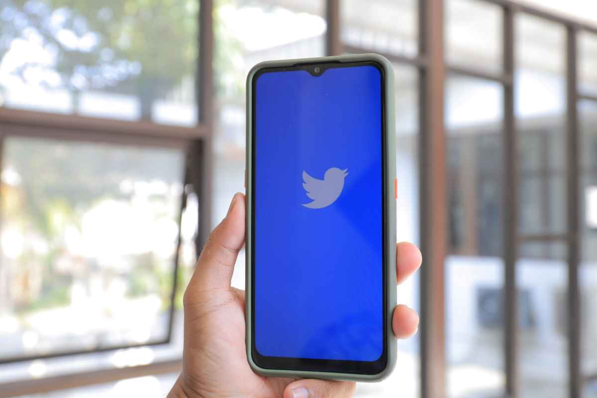 Tipos de publicidad en Twitter para principiantes